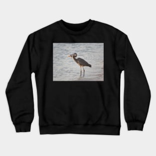 Dinner- Great Blue Heron Crewneck Sweatshirt